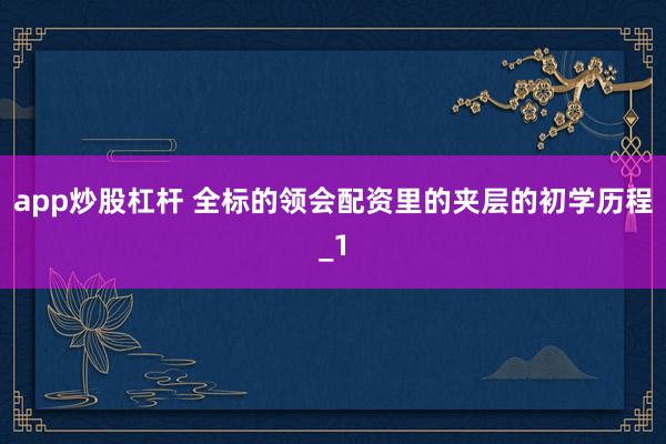app炒股杠杆 全标的领会配资里的夹层的初学历程_1