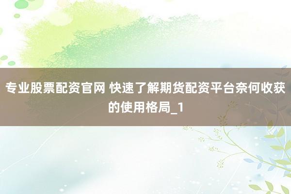 专业股票配资官网 快速了解期货配资平台奈何收获的使用格局_1