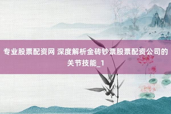 专业股票配资网 深度解析金砖钞票股票配资公司的关节技能_1