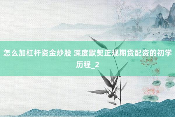 怎么加杠杆资金炒股 深度默契正规期货配资的初学历程_2