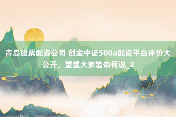 青岛股票配资公司 创金中证500a配资平台评价大公开，望望大家皆奈何说_2