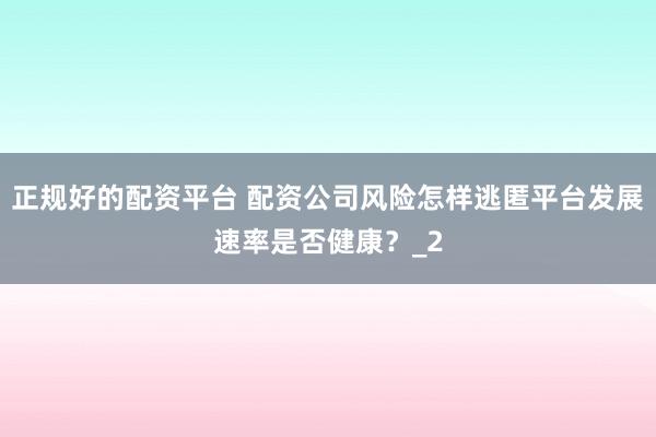 正规好的配资平台 配资公司风险怎样逃匿平台发展速率是否健康？_2