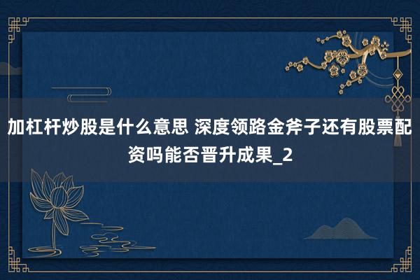 加杠杆炒股是什么意思 深度领路金斧子还有股票配资吗能否晋升成果_2