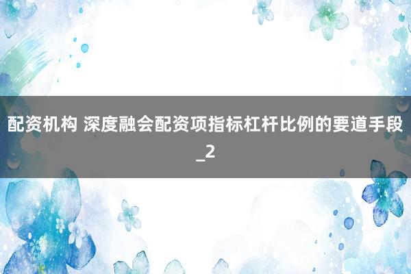 配资机构 深度融会配资项指标杠杆比例的要道手段_2